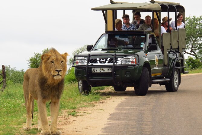 Kruger National Park Afternoon Private Safari - Explore Kruger National Park