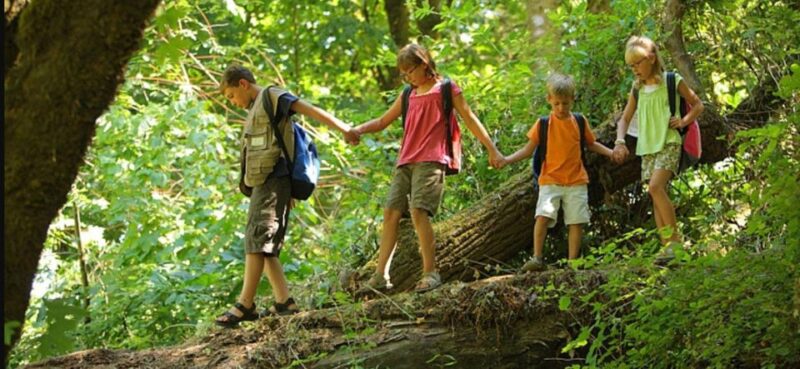 Kruger National Park Big 5 Tour - 4 Days From Johannesburg - Frequently Asked Questions