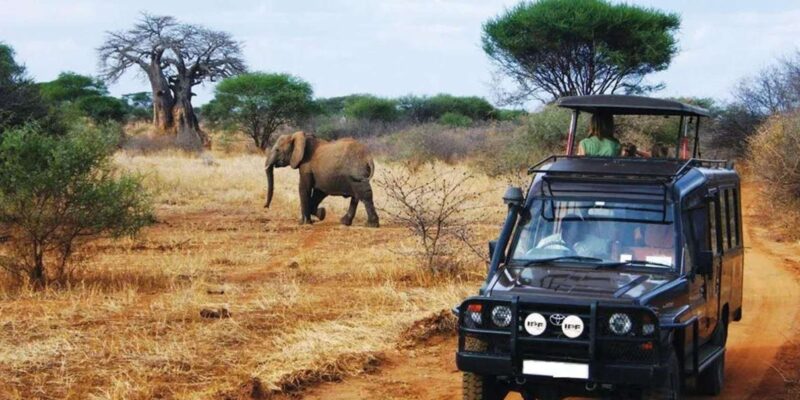 Kruger National Park & Blyde River Canyon 4 Day Safari - Key Points