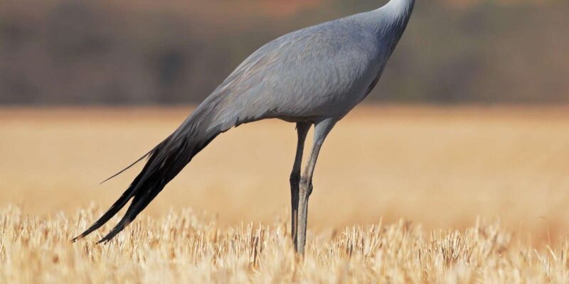 Kruger National Park & Blyde River Canyon 4 Day Safari - Blyde River Canyon Tour