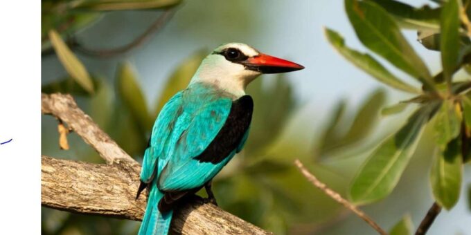 Kruger National Park & Blyde River Canyon 4 Day Safari - Frequently Asked Questions