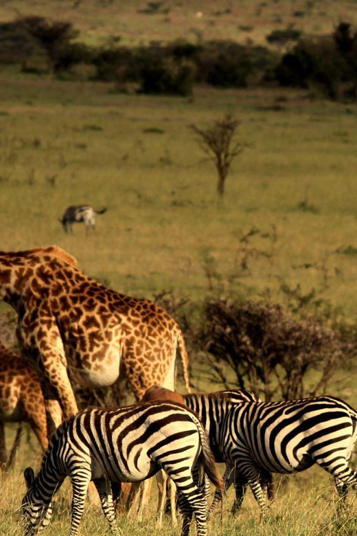 Kruger National Park & Blyde River Canyon 4 Day Safari - Itinerary and Activities