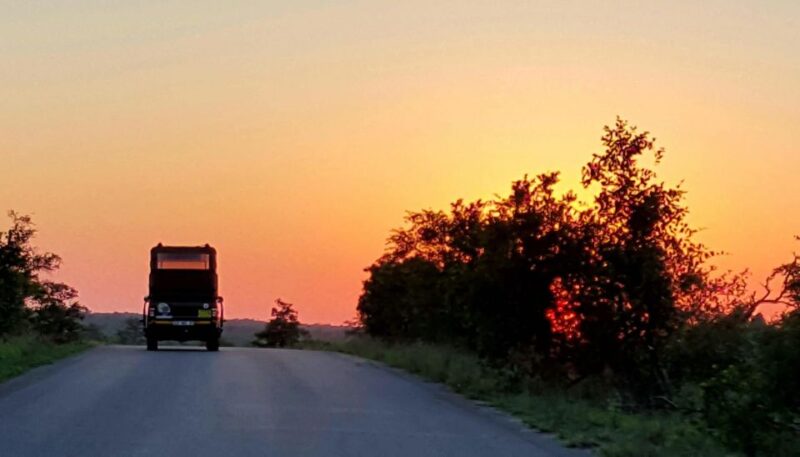 Kruger National Park: Full-Day Private Safari With Pickup - Pricing and Booking Details