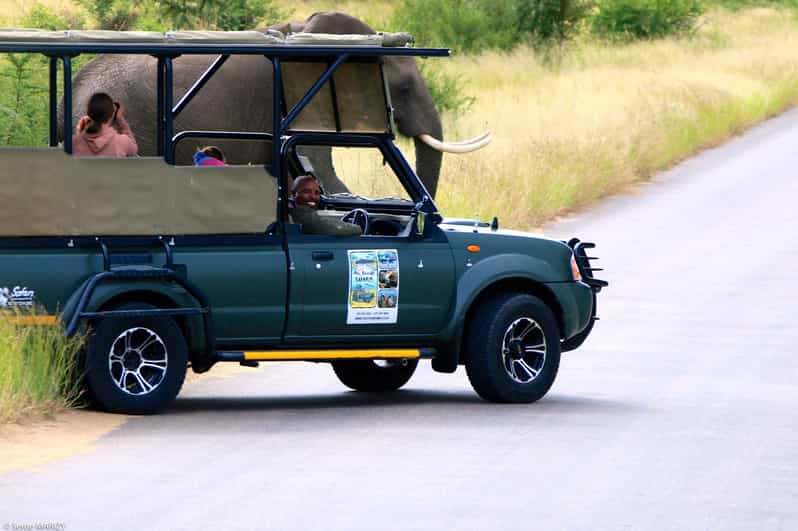 Kruger National Park - Full Day Safari (HAZYVIEW) - Key Points