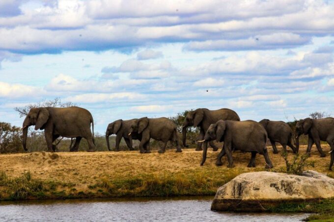 Kruger National Park Full-Day Safari - Frequently Asked Questions