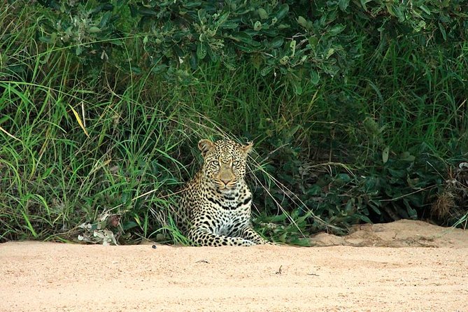 Kruger National Park Full Day Safari Tour - Kruger National Park Entrance Fees
