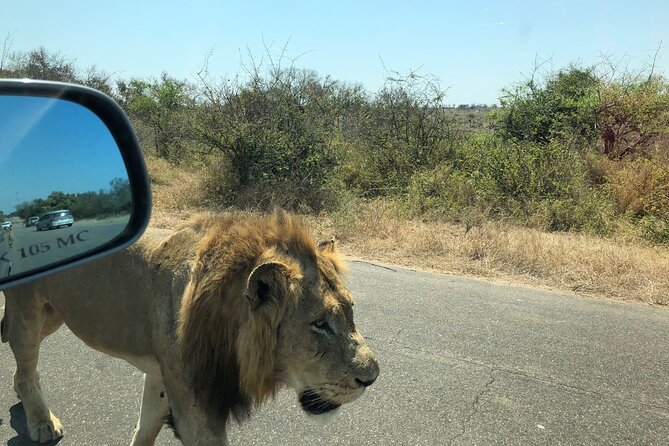Kruger National Park Full-Day Tour - Inclusions