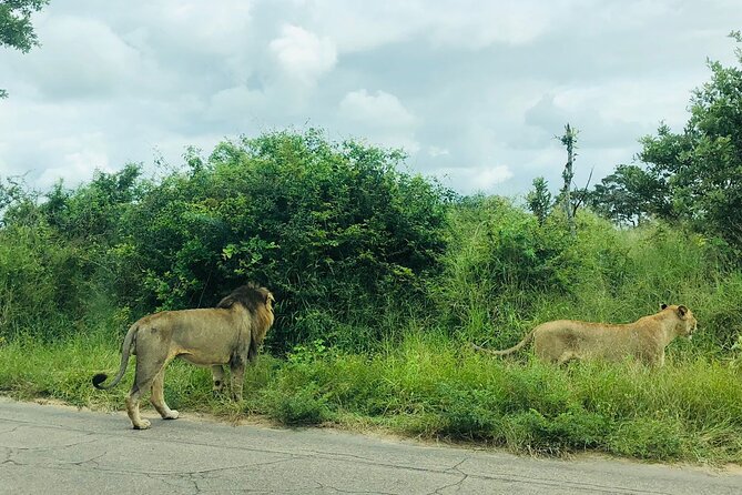 Kruger National Park Full-Day Tour - Health and Safety