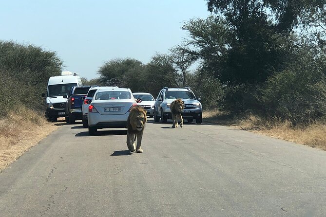 Kruger National Park Full-Day Tour - Frequently Asked Questions