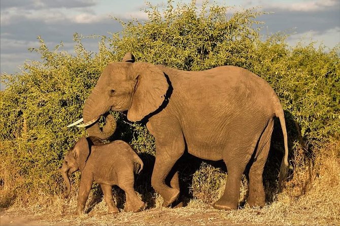 Kruger National Park Full Day Tour Minimum 2people - Activity Details