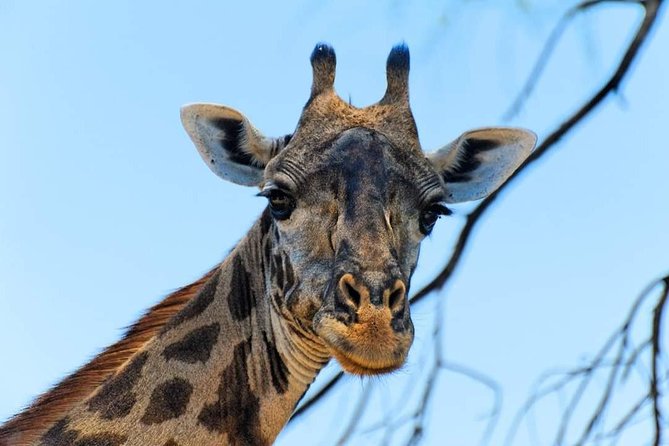 Kruger National Park Full Day Tour Minimum 2people - What to Expect