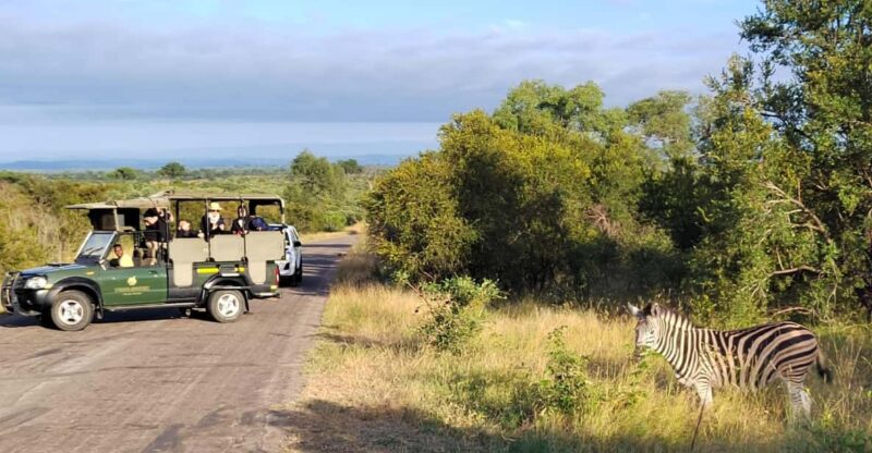 Kruger National Park Half Day - Pricing and Availability