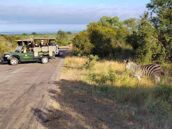 Kruger National Park Half Day - Highlights and Sightings