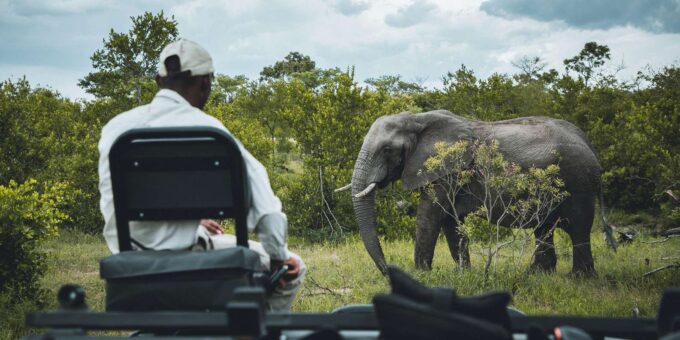 Kruger National Park Half Day - Important Considerations