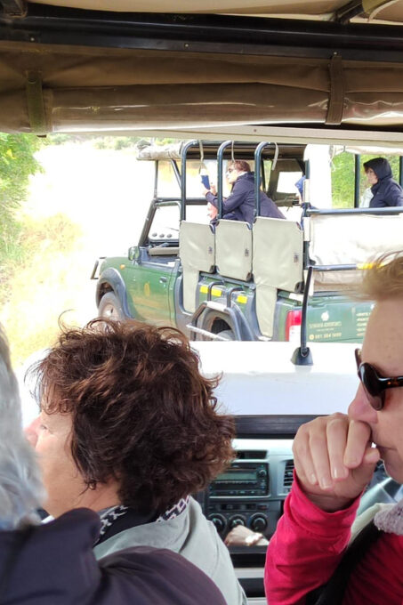 Kruger National Park Half Day - Frequently Asked Questions