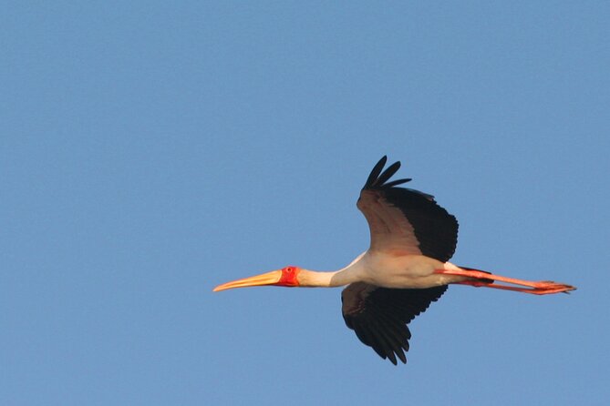 Kruger National Park in a Open Safari Vehicle - Full Day - Additional Information
