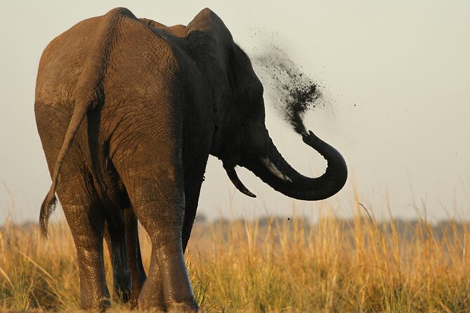 Kruger National Park in a Open Safari Vehicle - Full Day - Wildlife Sightings