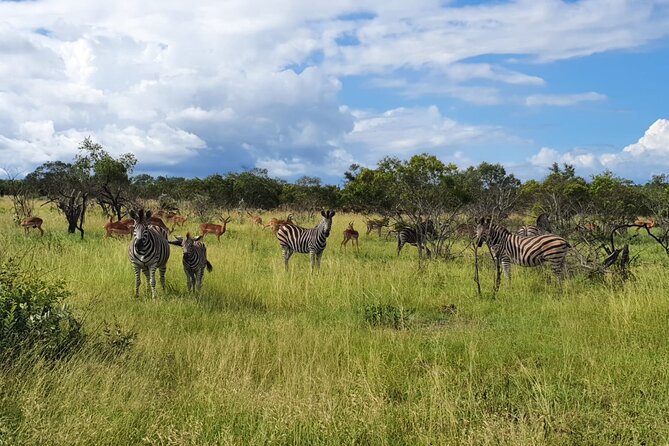 Kruger National Park & Panorama Route From Johannesburg 3 Days & 2 Nights - Accommodation