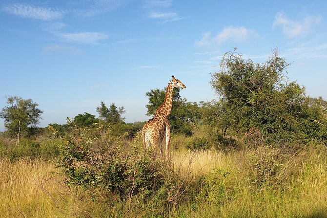 Kruger National Park & Panorama Route From Johannesburg 3 Days & 2 Nights - About the Operator