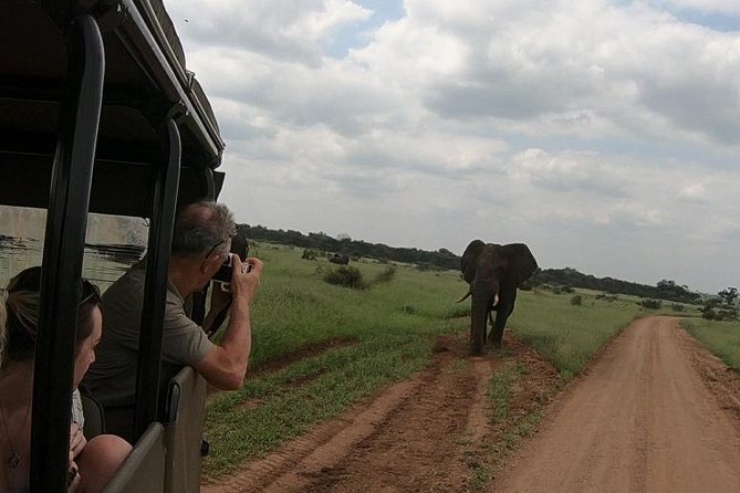 Kruger National Park Private Full-Day Safari - Private Safari Vehicle & Guide - Pricing and Conservation Fees