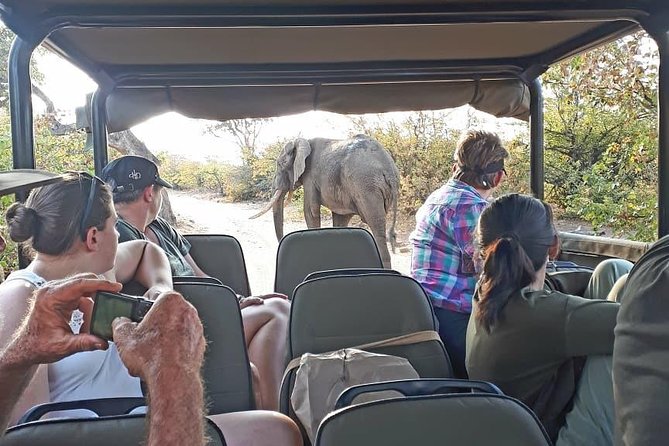 Kruger National Park Private Full-Day Safari - Private Safari Vehicle & Guide - Pickup and Drop-off Locations