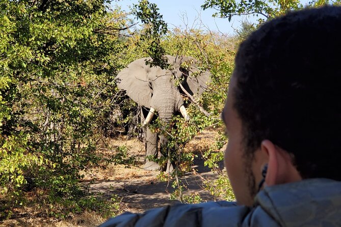 Kruger National Park Private Guided Tour - Tour Details