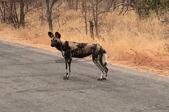 Kruger National Park Private Guided Tour - Cancellation and Refund Policy