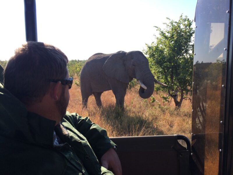 Kruger National Park: Private Morning Game Drive - Experience Highlights