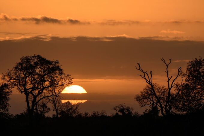 Kruger National Park: Private Morning Game Drive - Morning Game Drive