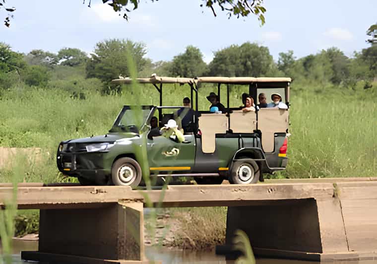 Kruger National Park Safari (Full Day) - Pickup and Dropoff Locations