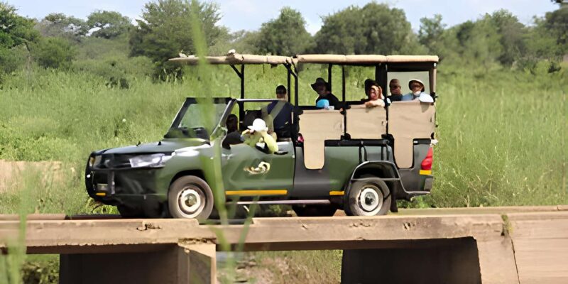 Kruger National Park Safari (Full Day) - Itinerary and Transportation