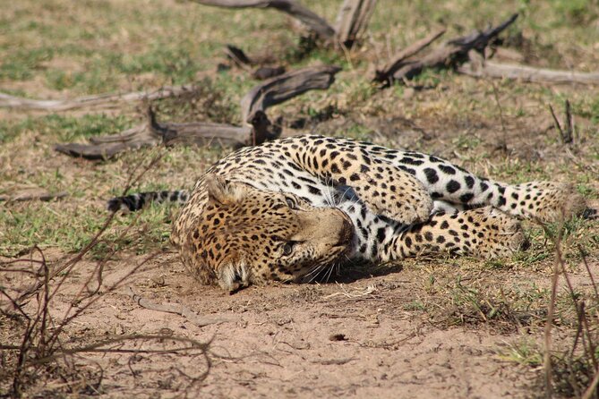 Kruger National Park, Safari Game Drive. - Inclusions and Amenities