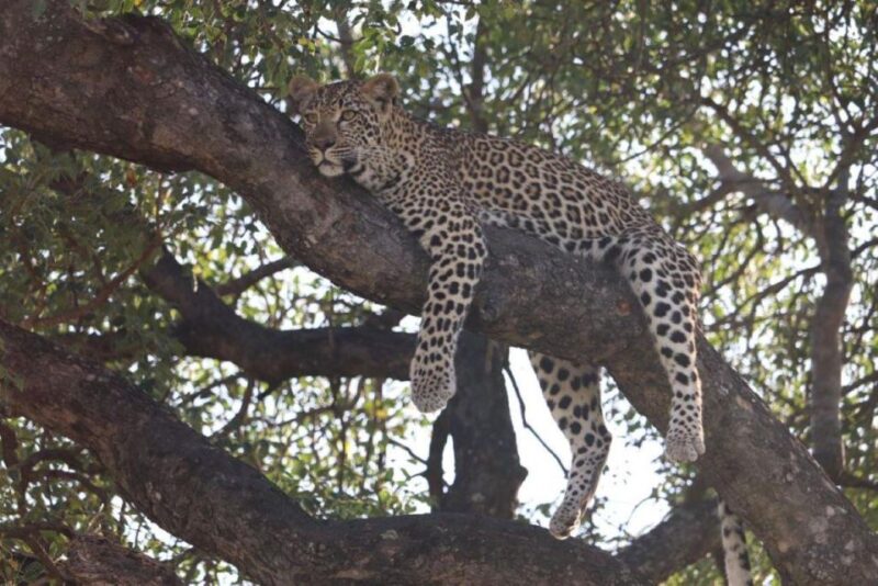 Kruger National Park, - Highlights of the Itinerary