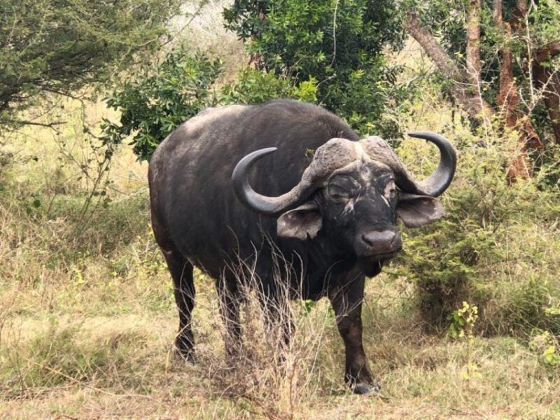 Kruger National Park, - Day 1: Maputo to Skukuza