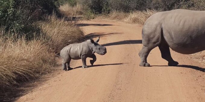 Kruger National Park: Three Day Tour - Frequently Asked Questions