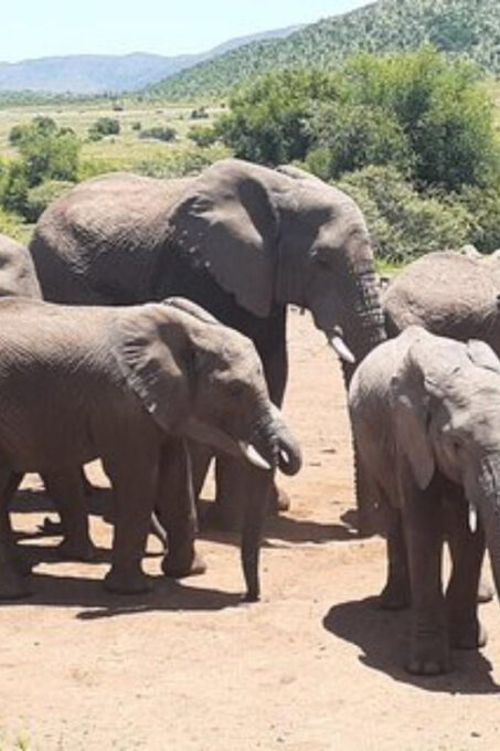 Kruger National Park Tour 3day/2 Nights (Open Safari Truck) - Exclusions