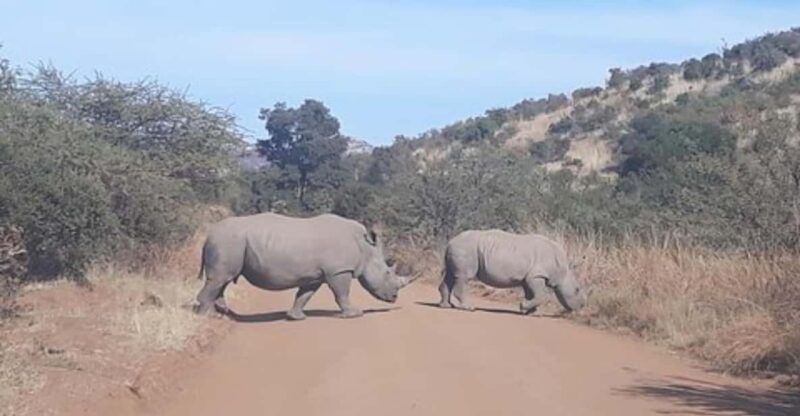 Kruger National Park Tour 4day-3nights (Open Safari Vehicle) - Daily Itinerary