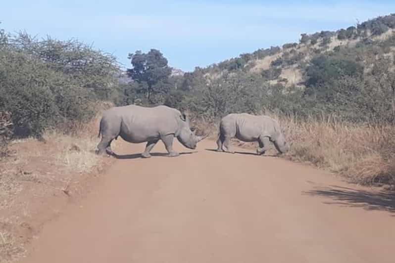 Kruger National Park Tour 4day-3nights (Open Safari Vehicle) - Inclusions and Exclusions