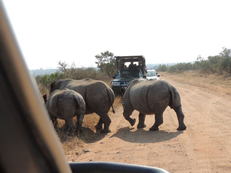 Kruger National Park: Wildlife-Watching Safari - Restrictions and Requirements
