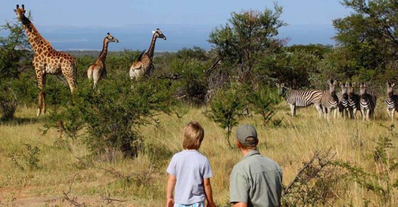 Kruger National Pk 4 Day Safari From Johannesburg & Pretoria - Daily Itinerary