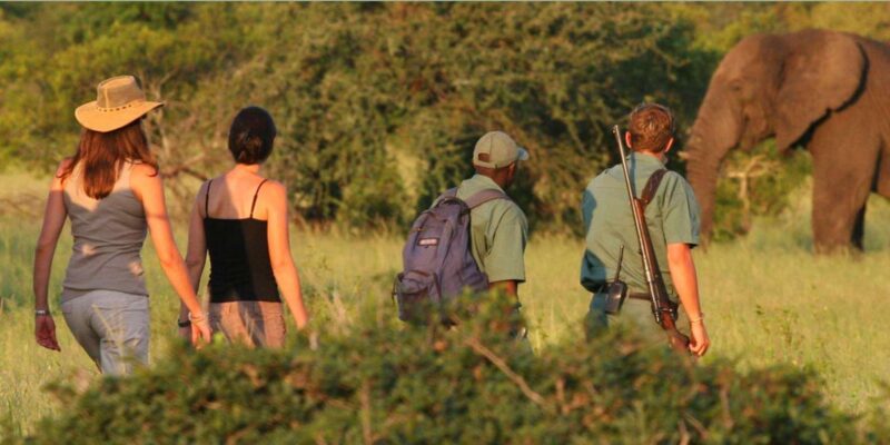 Kruger National Pk 4 Day Safari From Johannesburg & Pretoria - Pickup and Accessibility