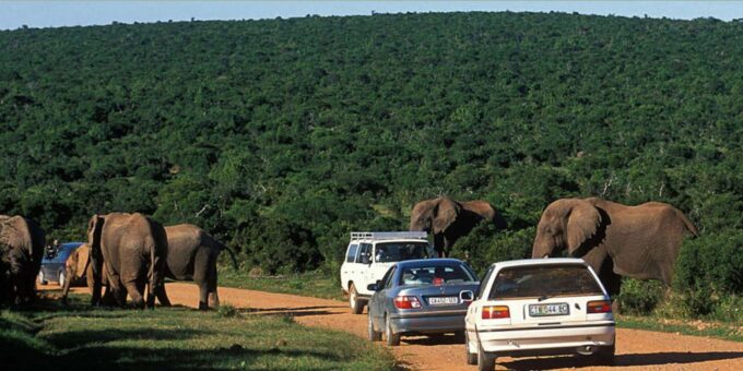 Kruger National Pk 4 Day Safari From Johannesburg & Pretoria - Cancellation and Refund Policy