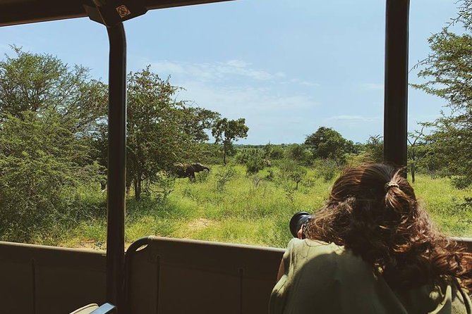 Kruger Park 2-Day Safari From Maputo (Open-Backed Safari Vehicle) - Safari Drives and Observations