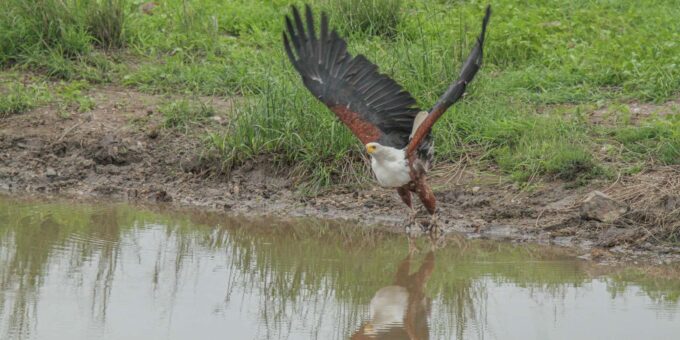 Kruger Park 3 Night Safari - Frequently Asked Questions