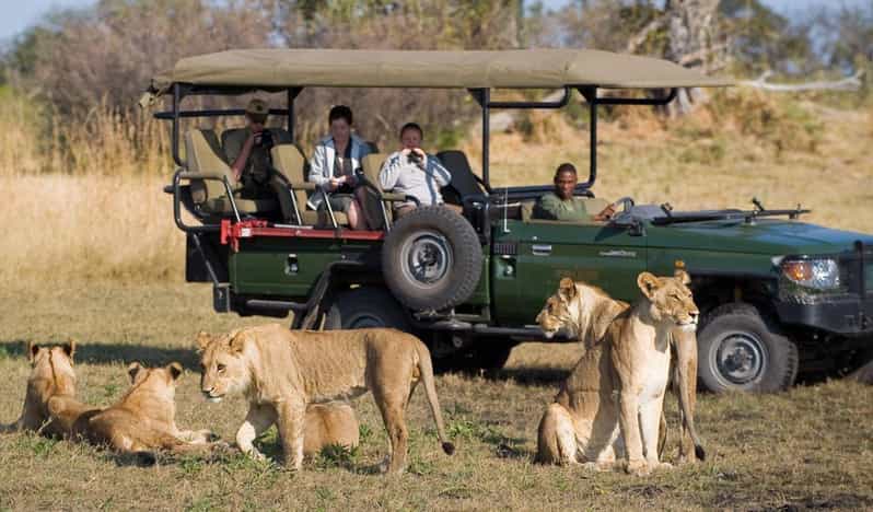 Kruger Park & Blyde River Canyon 4DAY Safari Fr Johannesburg - Itinerary Highlights