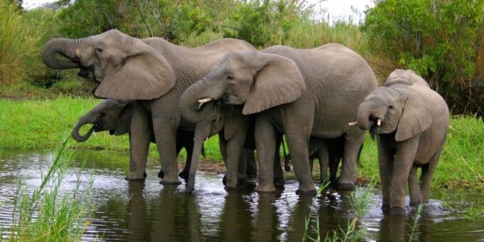 Kruger Park & Blyde River Canyon 4DAY Safari Fr Johannesburg - Tour Booking and Cancellation