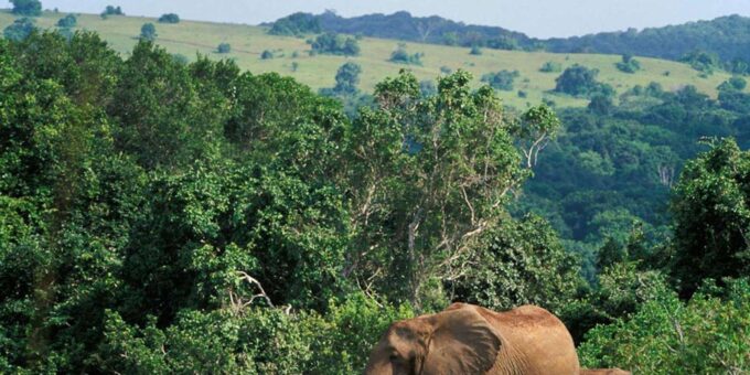 Kruger Park & Blyde River Canyon 4DAY Safari Fr Johannesburg - Frequently Asked Questions