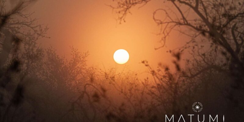 Kruger Park Full Day Safari (Private) - Activity Pricing