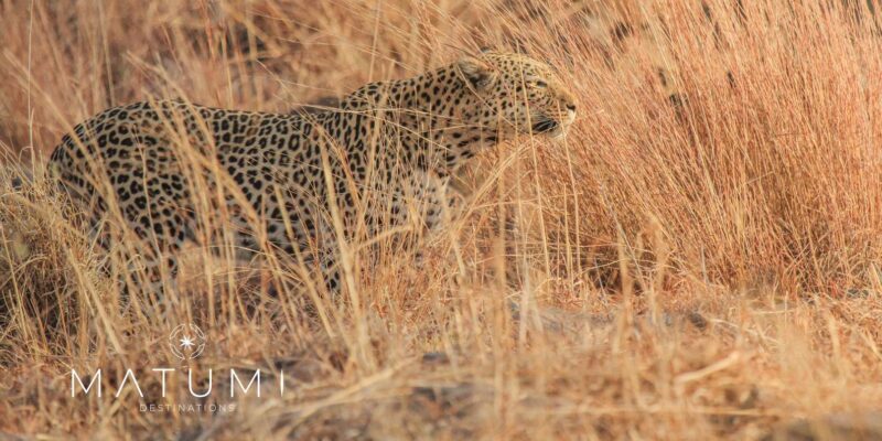 Kruger Park Full Day Safari (Private) - Inclusions and Exclusions