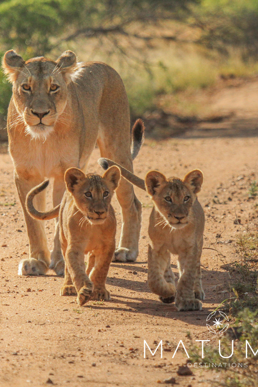 Kruger Park Full Day Safari - Meeting Point and Location